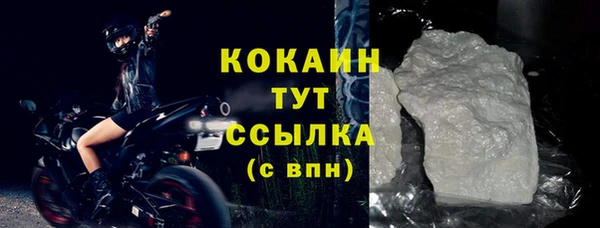 молекула духа Ладушкин