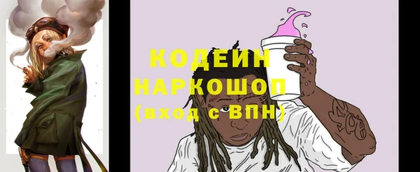 молекула духа Ладушкин